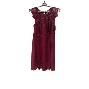 Elegant Plum Lace Dress, Sz 2X